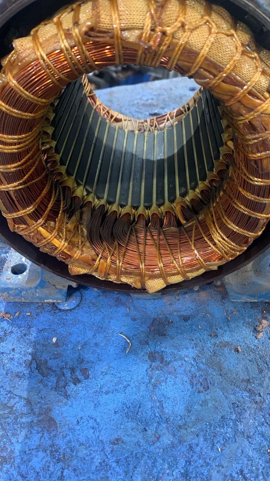 WhatsApp Image 2025-09-18 at 09.28.13.jpeg